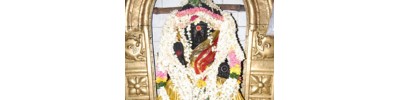தெற்கு பொய்கைநல்லூர்